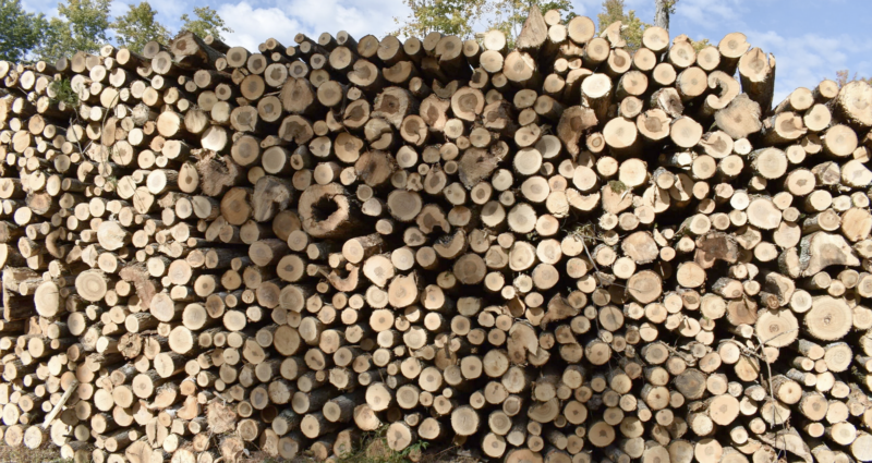Tariffs on wood, wood products might not help producers